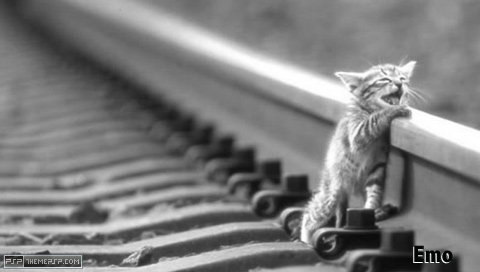 Emokitty.jpg