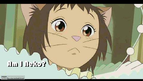 amIneko.jpg